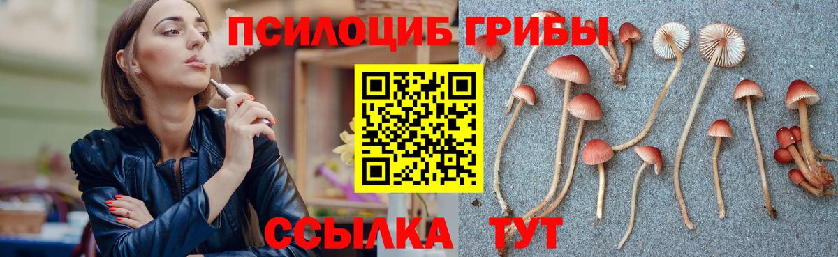 Псилоцибиновые грибы Magic Shrooms Ефремов